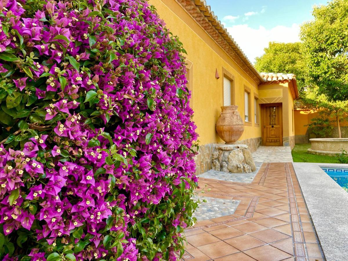 Casa rural Vía del Tranvía La Zubia  Exterior foto